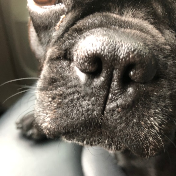 Meet your Posher, Victoria - Picture 1 of 1